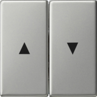 GIRA 0294600 Wippe 2f Pfeilsymbol System 55 Edelstahl