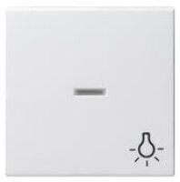 Gira 067403 System 55 Kontrollwippe und Symbol Licht...