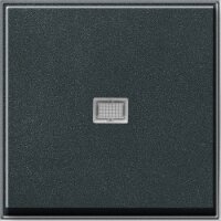GIRA Wippe mit Kontrollfenster 029067 TX 44 Farbe: Anthrazit