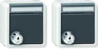 GIRA Aufputz System IP 44 Grau Steckdose 2-fach BSF...
