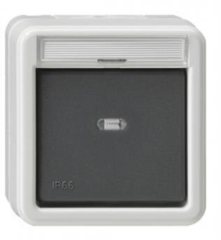 Gira 011231 Wipp-Kontrollschalter 10 AX 250 V~ mit Beschriftungsfeld Ausschalter 2-polig Grau